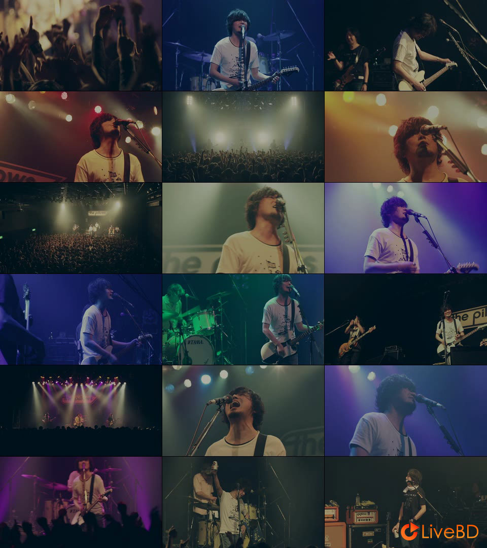 the pillows RETURN TO THIRD MOVEMENT! Vol. 1 (2021) BD蓝光原盘 22.3G_Blu-ray_BDMV_BDISO_2
