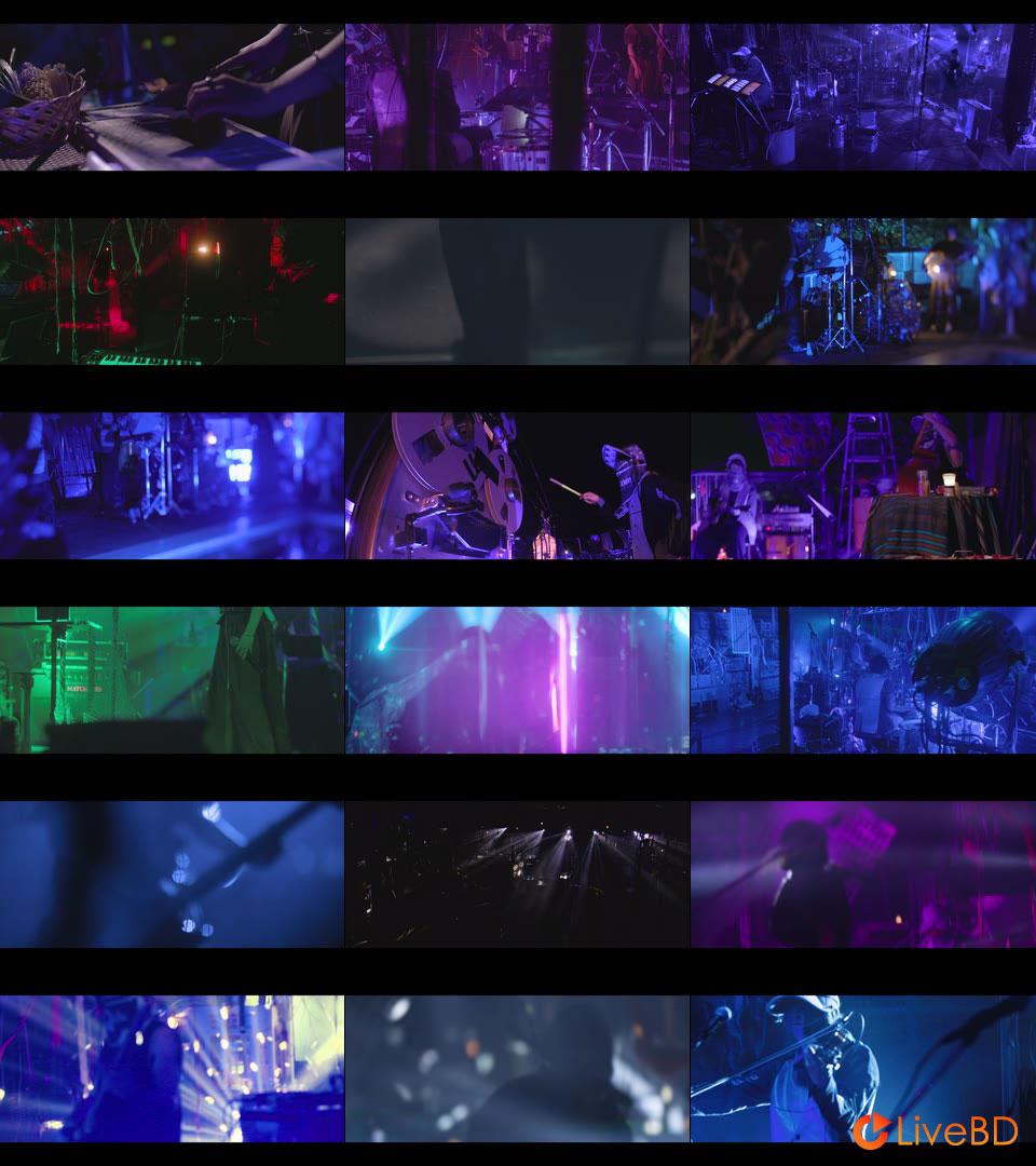 ずっと真夜中でいいのに。 ぐされ [初回限定LIVE盤] (2021) BD蓝光原盘 22.8G_Blu-ray_BDMV_BDISO_2