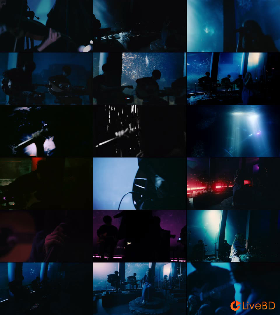 ヨルシカ (Yorushika) LIVE「前世」[初回限定盤] (2021) BD蓝光原盘 19.7G_Blu-ray_BDMV_BDISO_3