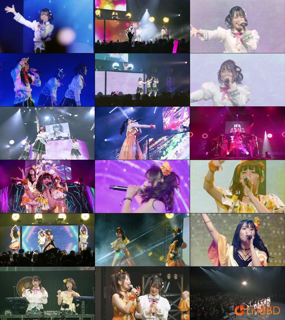 D4DJ Lyrical Lily×Merm4id 合同LIVE NYAN-NYAN SHAKE! Lyrical Lily ver. (2022) BD蓝光原盘 20.6G_Blu-ray_BDMV_BDISO_2