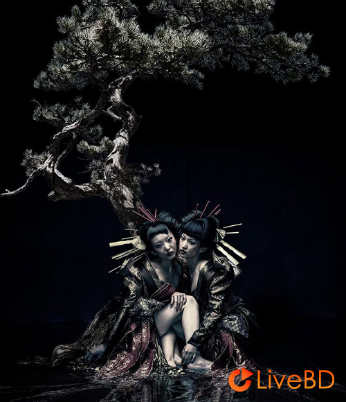 the GazettE LIVE TOUR 12-13 [DIVISION] FINAL MELT LIVE AT 03.10 SAITAMA SUPER ARENA (2022) BD蓝光原盘 36.3G