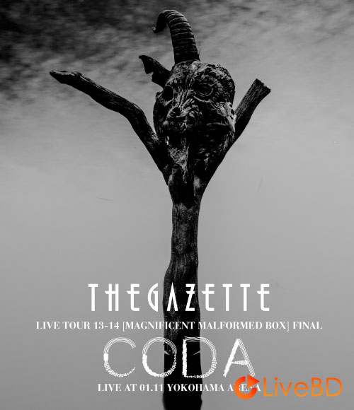 the GazettE LIVE TOUR 13-14 [MAGNIFICENT MALFORMED BOX] FINAL CODA LIVE AT 01.11 YOKOHAMA ARENA (2022) BD蓝光原盘 34.8G_Blu-ray_BDMV_BDISO_