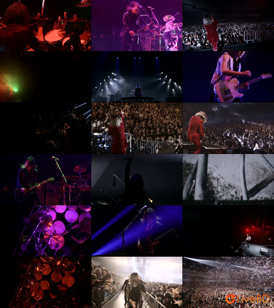 the GazettE LIVE TOUR 13-14 [MAGNIFICENT MALFORMED BOX] FINAL CODA LIVE AT 01.11 YOKOHAMA ARENA (2022) BD蓝光原盘 34.8G_Blu-ray_BDMV_BDISO_1