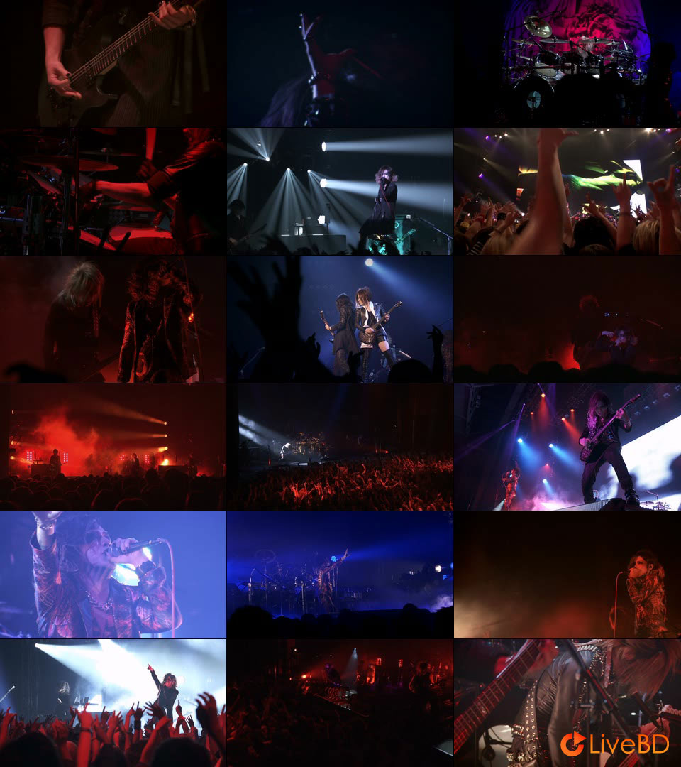 the GazettE STANDING LIVE TOUR 14 HERESY LIMITED -再定義- (2022) BD蓝光原盘 20.1G_Blu-ray_BDMV_BDISO_2