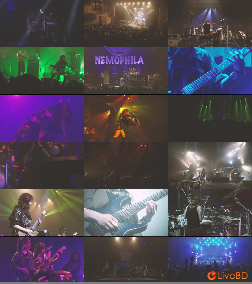 NEMOPHILA LIVE 2022 REVIVE～It′s sooooo nice to finally meet you!!!!!～(2022) BD蓝光原盘 19.2G_Blu-ray_BDMV_BDISO_2