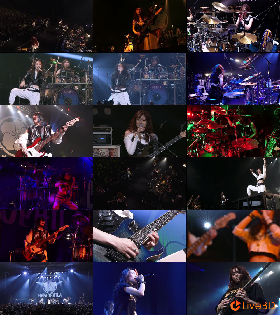 NEMOPHILA Zepp Tour 2022 虎穴に入らずんば虎子を得ず (2022) BD蓝光原盘 16.5G_Blu-ray_BDMV_BDISO_2 NEMOPHILA Zepp Tour 2022 虎穴に入らずんば虎子を得ず (2022) BD蓝光原盘 16.5G_Blu-ray_BDMV_BDISO_2